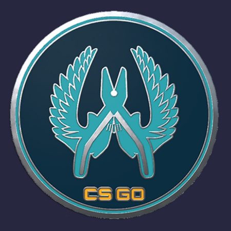 CS:GO - Series 1 - Guardian Collectible Pin