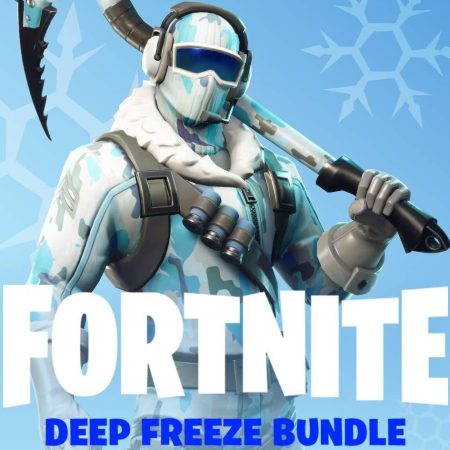 Fortnite Deep Freeze Bundle Epic Games CD Key